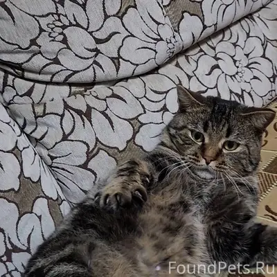 🆘Помогите пожалуйста🆘 Пропал к...