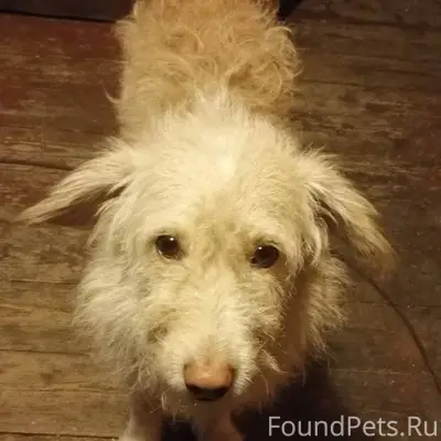 Пожалуйста, помогите Может кто...