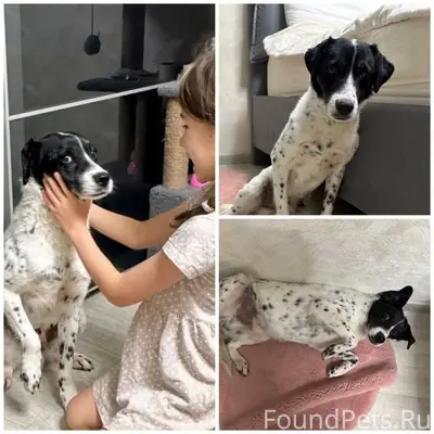 🆘🆘🆘🆘🆘🆘🆘🆘🆘🆘🆘🆘🆘 Перед Новым годо...