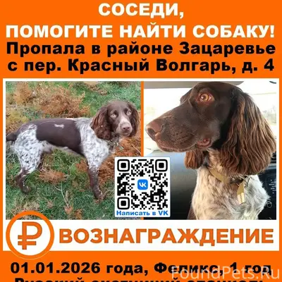 Пропала собака. Если увидите у...