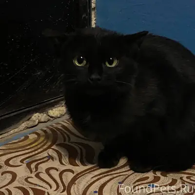 Всем Доброго Времени суток Най...