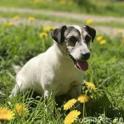 Вчера в 10 вечера в Черемушках...