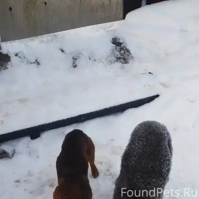 По д. Загорье , Смолевичского ...