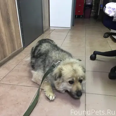 Моск область Воскресенск. Из в...