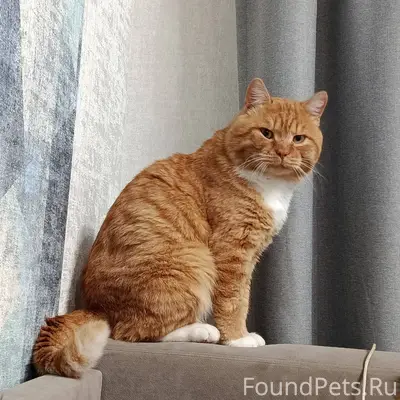 Здравствуйте! Очень ждём возвр...