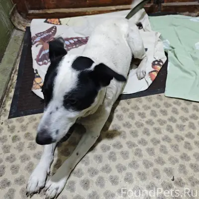 Добрый вечер! Сегодня, 18.01.2...