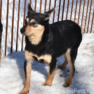 Донской! Тульская область‼️ ВН...