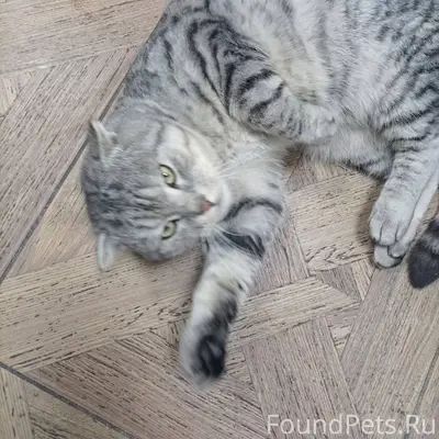 Добрый день. Опубликуйте пожал...