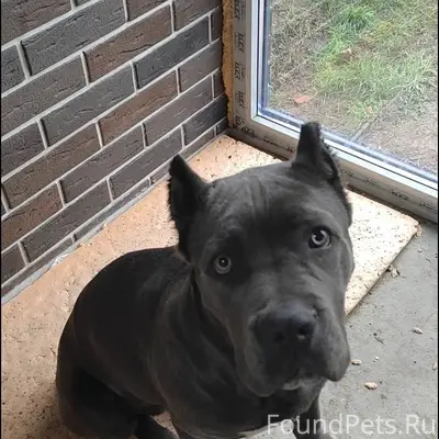 Продолжаются поиски. С надеждо...