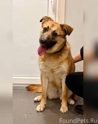 ‼️ Помогаем информационно Теле...