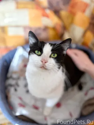 Ровно год назад, на крещение, ...