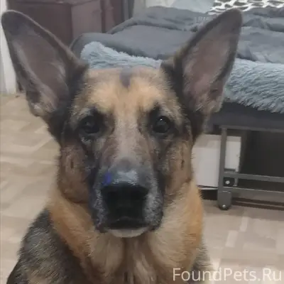 Просьба распространить пост, п...