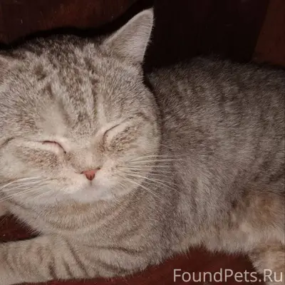 Срочно, в районе ул Советская ...