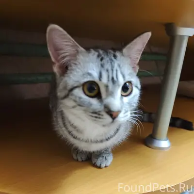 ‼️ПОМОГАЕМ ИНФОРМАЦИОННО‼️ Ище...