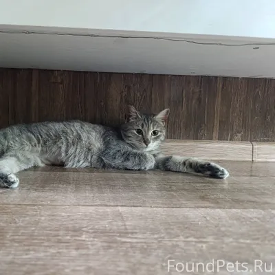 Вот такая малышка, Василина, в...