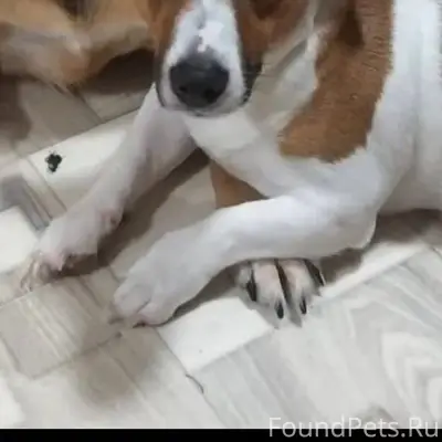 За ВОЗНАГРАЖДЕНИЕ!