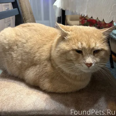 Дорогие друзья, ПОМОГИТЕ🆘❗️ Пр...