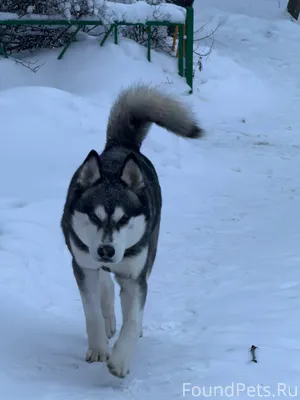 "Бюро находок" (фото 1) Найден...