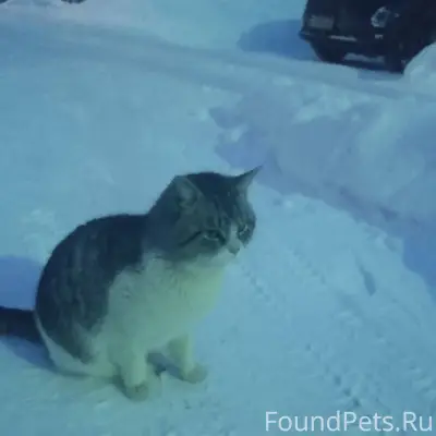 С осени на ул. Г. Булатова...