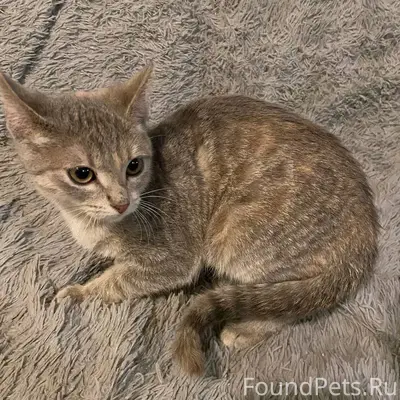 18.01.26 на улице 1...