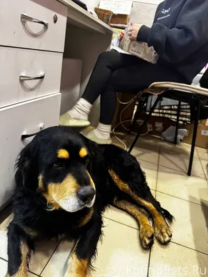 🆘🆘Симферополь, ул. Тургенева🆘🆘...