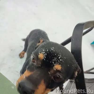 Здравствуйте! Сегодня вышла чи...