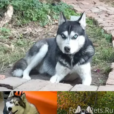 ‼️‼️‼️РЕПОСТ За небольшой пром...