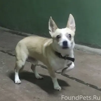 Здравствуйте балаковцы кто пот...