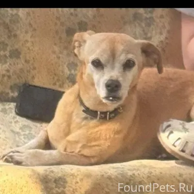 Добрый день. Вчера 1 января пр...