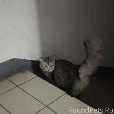 На крикковском 20 появилась та...