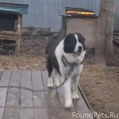 Прошу большого внимания! Потер...