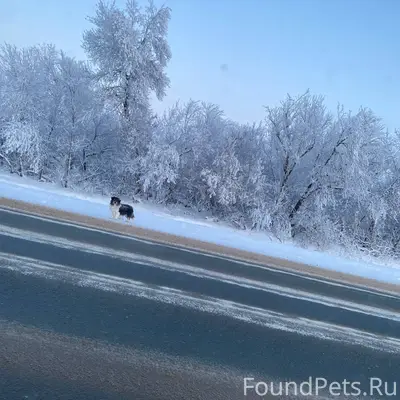 Срочно!!! Сегодня на трассе Бу...