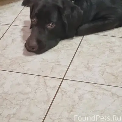 При аварии на мосту р. Винная....