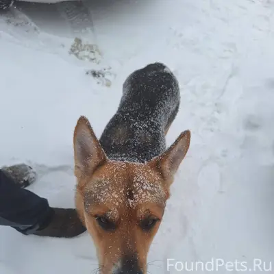 В районе поселка Нечаевский бе...