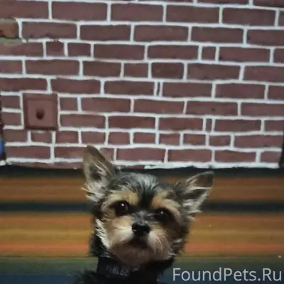 1 января в районе 11 часов...