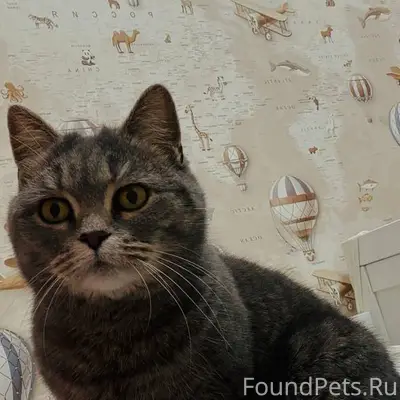 Друзья, нужна помощь! Найдена ...