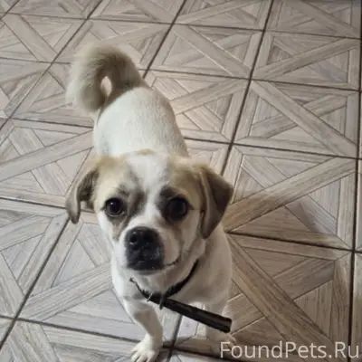 В ночь с 1 на 2...