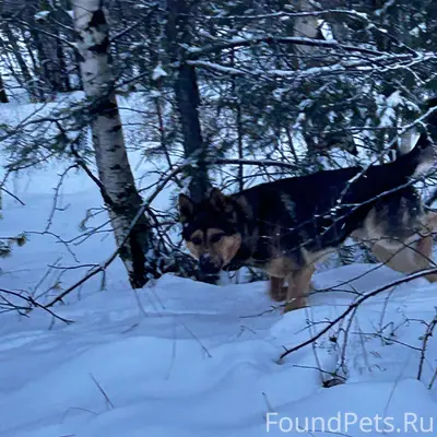 Здравствуйте, у меня пропала с...