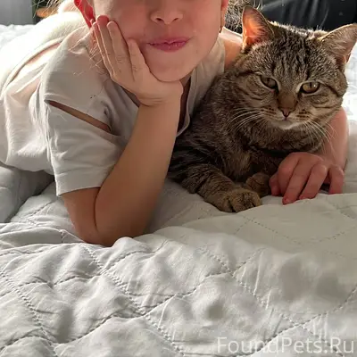 🐈Пропал наш любимый кот 😻 зову...
