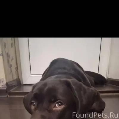 Друзья, очень нужна помощь!!! ...