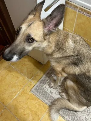 Кому праздники и веселье, а ко...