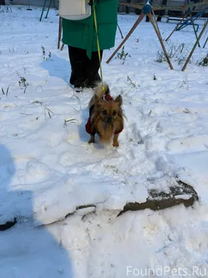 В поселке строитель пропала со...
