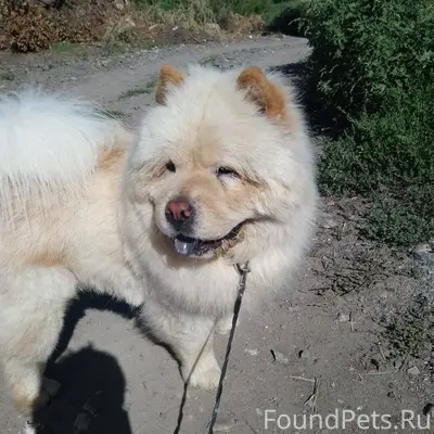 В ночь с 31 на 1...