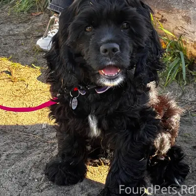 Очень прошу помощи, вчера в ра...