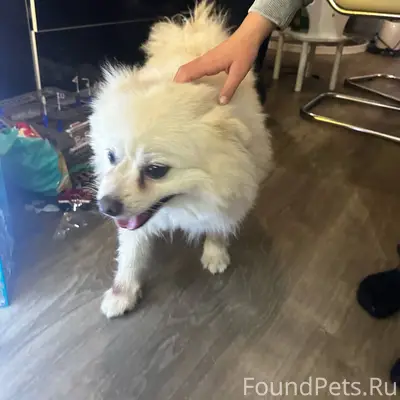 Помогаю информационно! Репост,...