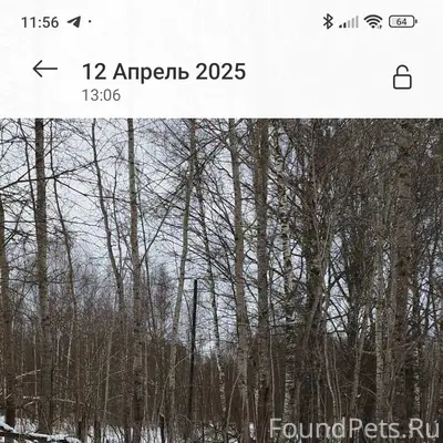 Если есть возможность, размест...