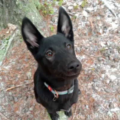 ‼️‼️‼️ВНИМАНИЕ ‼️‼️‼️ МАКСИМАЛ...