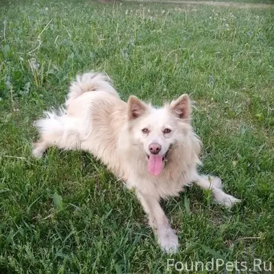 31.12.2025г около 18 часов...