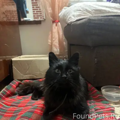 Сделайте первое доброе дело в ...