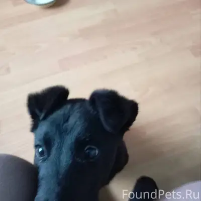 Уренцы! Внимание всем! ПРОПАЛА...